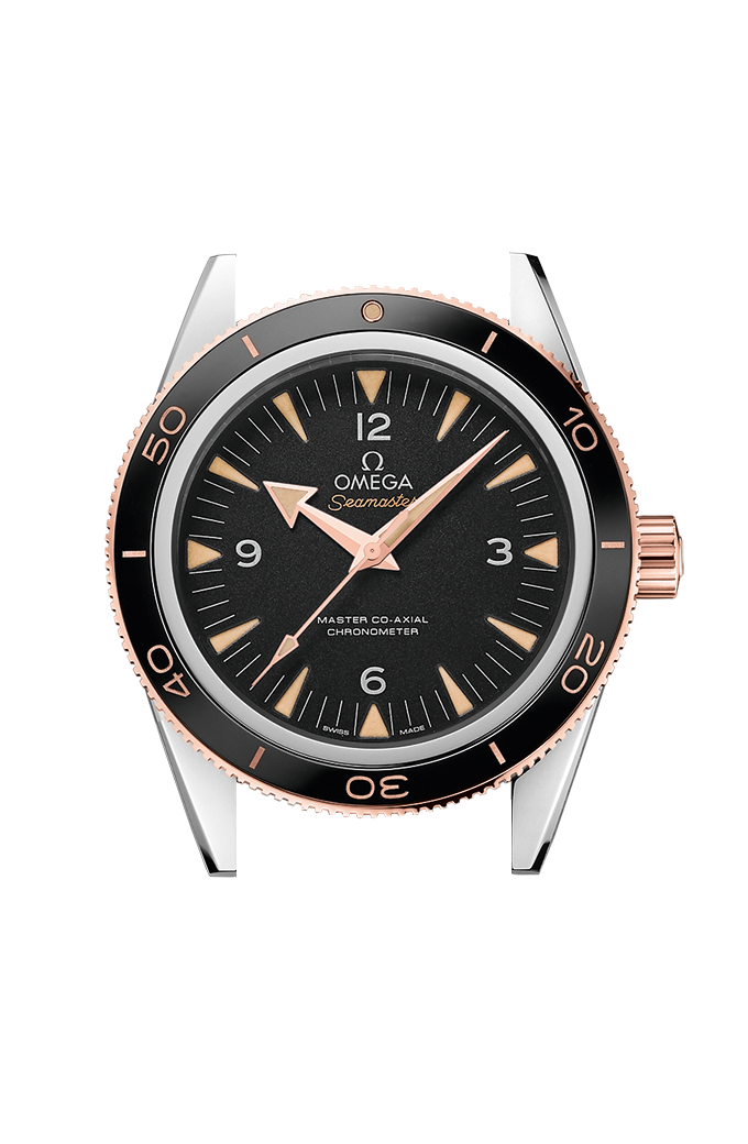 Ashley Hamr Fake Watches